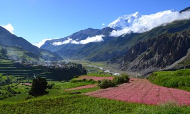 Manaslu Circuit and Tsum Valley Trek